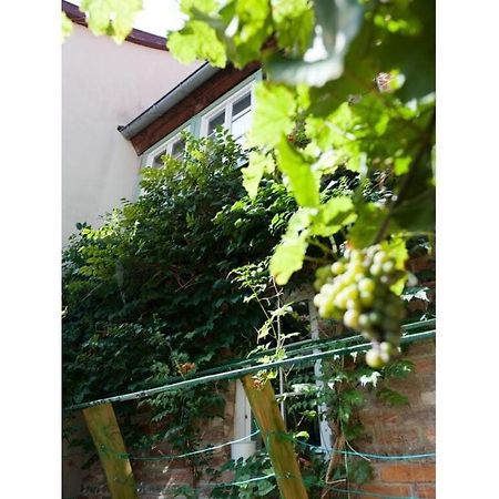 Lovely Apartment In Quedlinburg Exterior photo